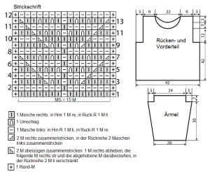 pulli schrift